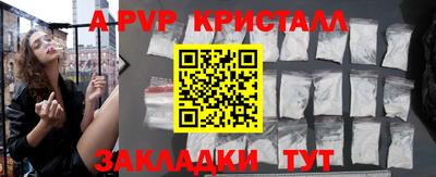 стафф Донской