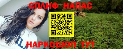стафф Донской