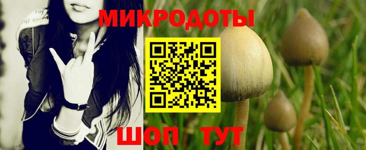 Галлюциногенные грибы Cubensis  Галлюциногенные грибы мухоморы  Лыткарино  Вход с VPN 